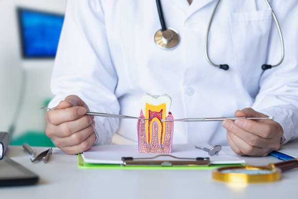 Best Emergency Wisdom Teeth Removal in Massanetta Springs, VA